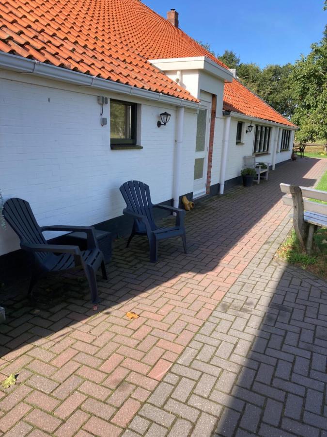 Appartamento Bed En Breakfast Westerwolde Sellingen Esterno foto
