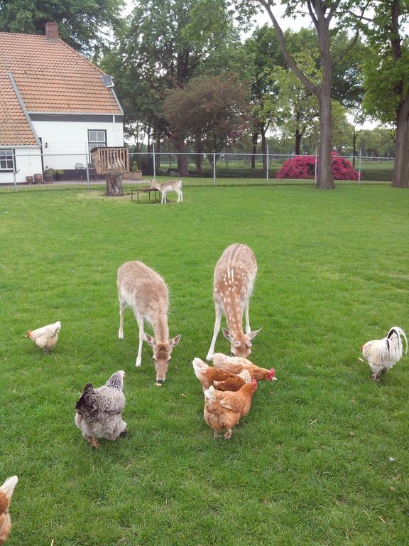 Appartamento Bed En Breakfast Westerwolde Sellingen Esterno foto