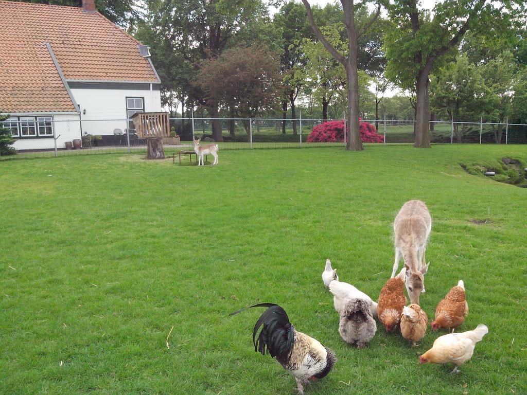 Appartamento Bed En Breakfast Westerwolde Sellingen Esterno foto